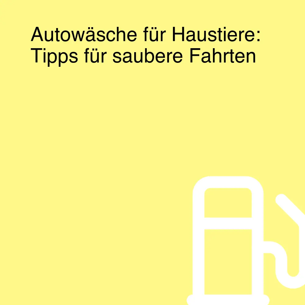Autowäsche für Haustiere: Tipps für saubere Fahrten Autowäsche für Haustiere: Tipps für saubere Fahrten