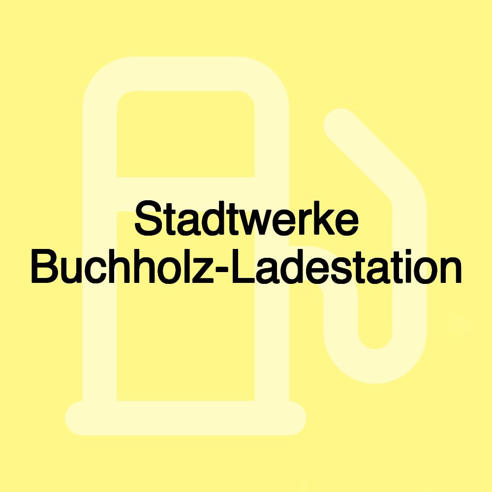 Stadtwerke Buchholz-Ladestation Stadtwerke Buchholz-Ladestation